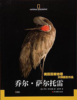 乔尔·萨尔托雷 乔尔·萨尔托雷 浙江摄影出版社 9787551413350