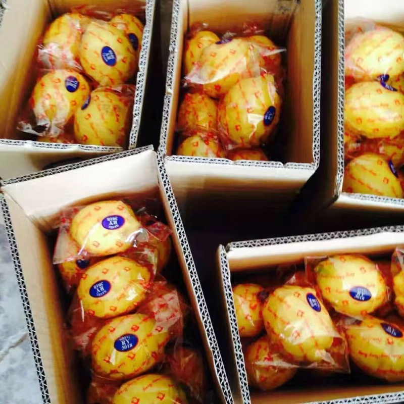【精选S级】安岳黄柠檬新鲜水果柠檬果子生鲜柠檬新鲜批发50-200g多规格 2斤装小果