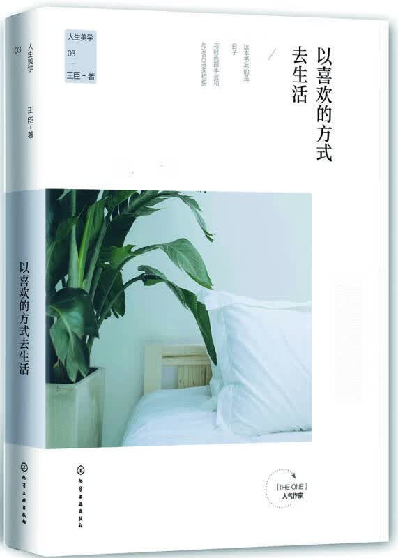 人生美学 以喜欢的方式去生活【正版精选】
