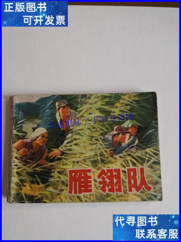 【二手9成新】连环画 雁翎队 /人民美术出版社 人民美术出版社