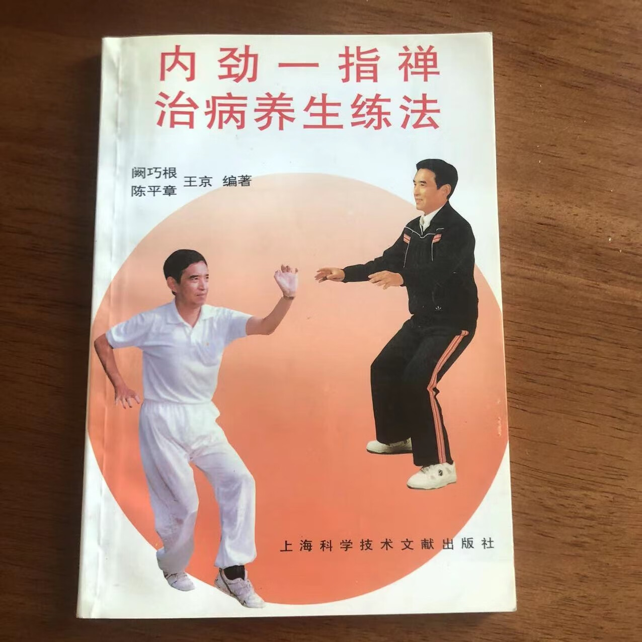 正版  内劲一指禅治病养生练法   阙巧根 陈平章   实拍图