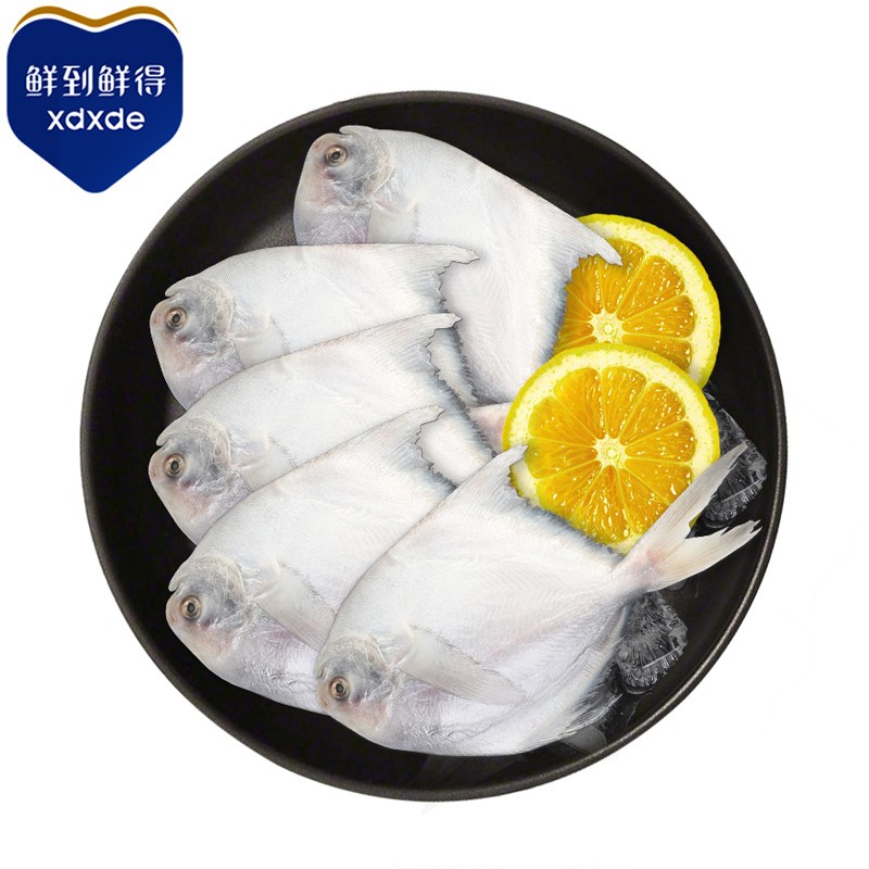 鲜到鲜得 东海银鲳鱼428g  平鱼 深海鱼  海鲜水产 生鲜 鱼类 健康轻食