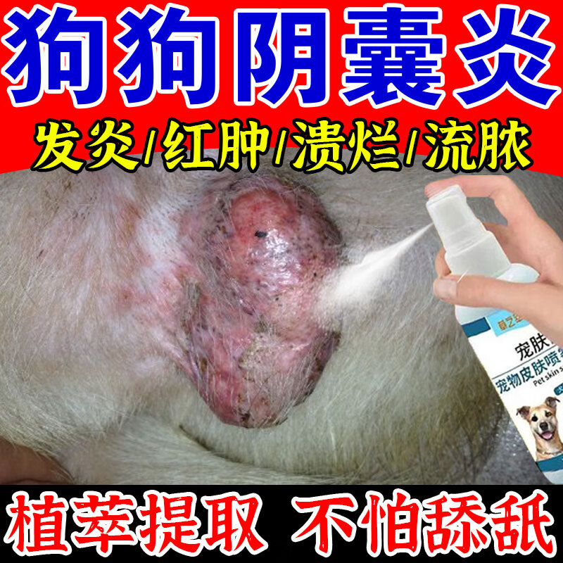 狗狗阴囊炎专用狗蛋蛋发炎红肿流脓溃烂瘙痒止痒消炎抑菌喷剂l 单瓶装