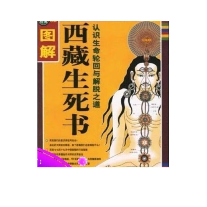 優師專項師范生和公費師范生_優師專項計劃和公費師范生的區別_優師專項與公費師范