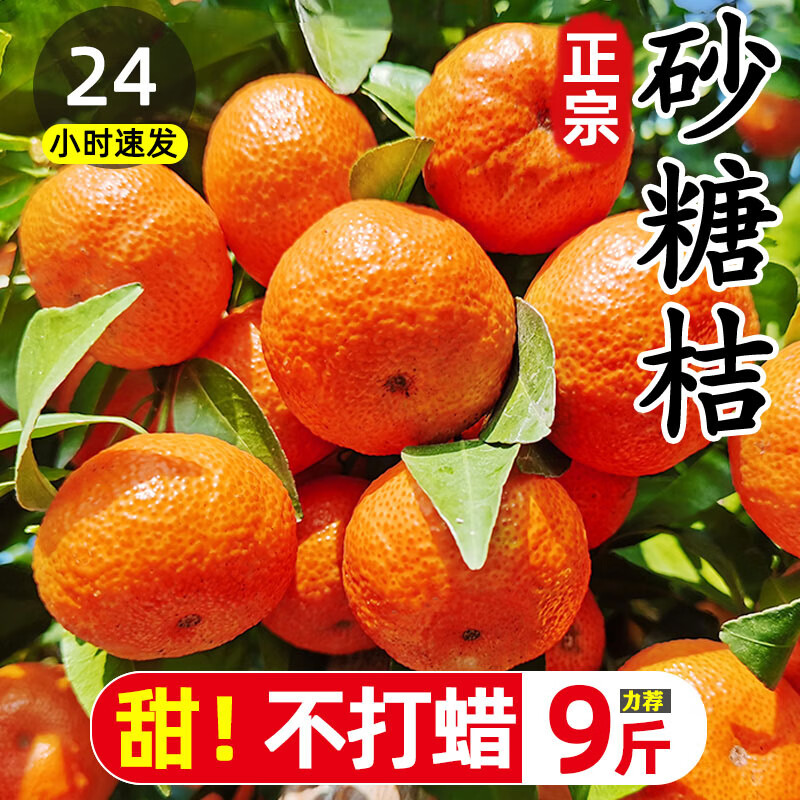 味果生广西砂糖橘桔子9斤当季新鲜孕妇水果现摘金秋沙糖桔蜜桔柑橘整箱 9斤精选装净重8.5斤 33.5元