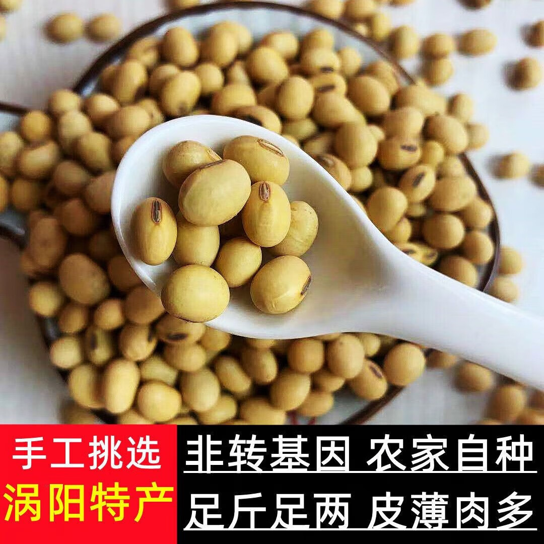 pd安徽老品种椭圆土黄豆农家自种大豆打豆浆做豆腐笨豆 椭圆黄豆250克