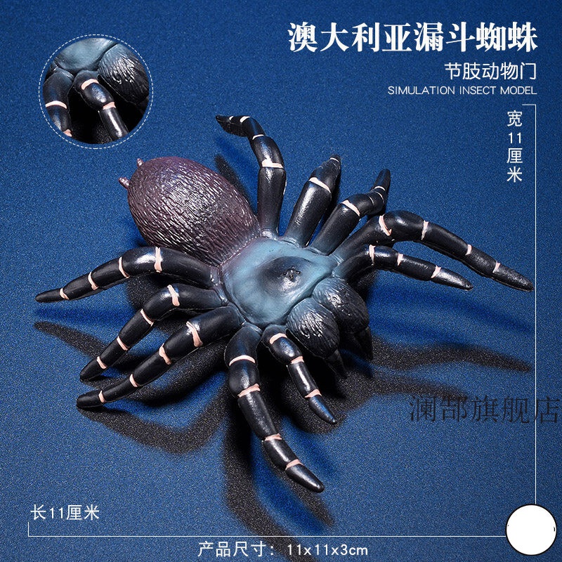 昆虫动物玩具模型仿真蜘蛛玩具套装红黑蜘蛛大蜘蛛 澳大利亚漏斗蜘蛛
