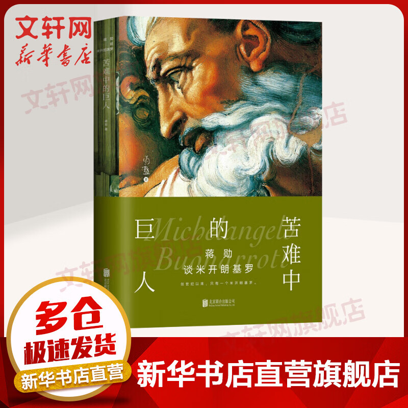 蒋勋谈米开朗基罗:苦难中的巨人（精装典藏版）美学大师蒋勋的书 蒋勋对话艺术美学系列书籍 北京联合出版公司