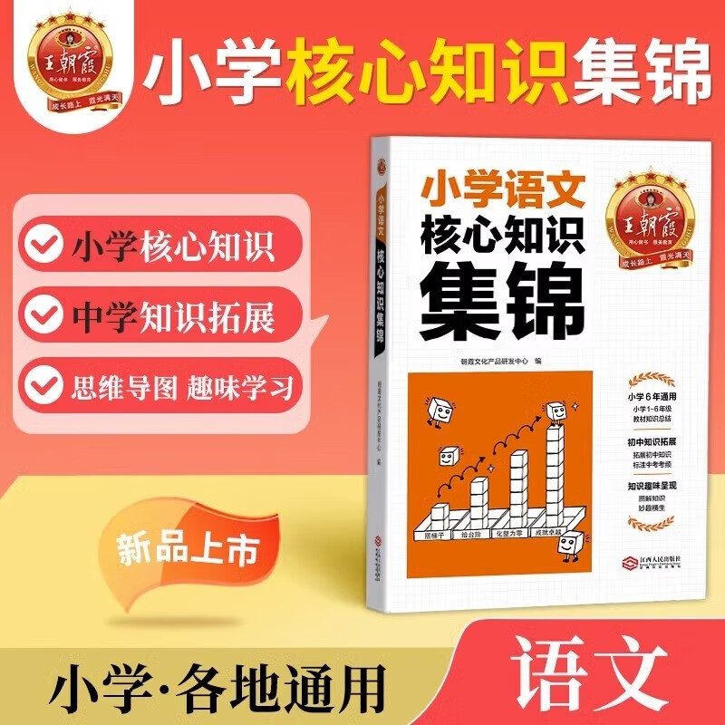 王朝霞小学核心知识集锦 语文 小学基础知识大盘点知识大全考试总复习小升初衔接工具辅导书