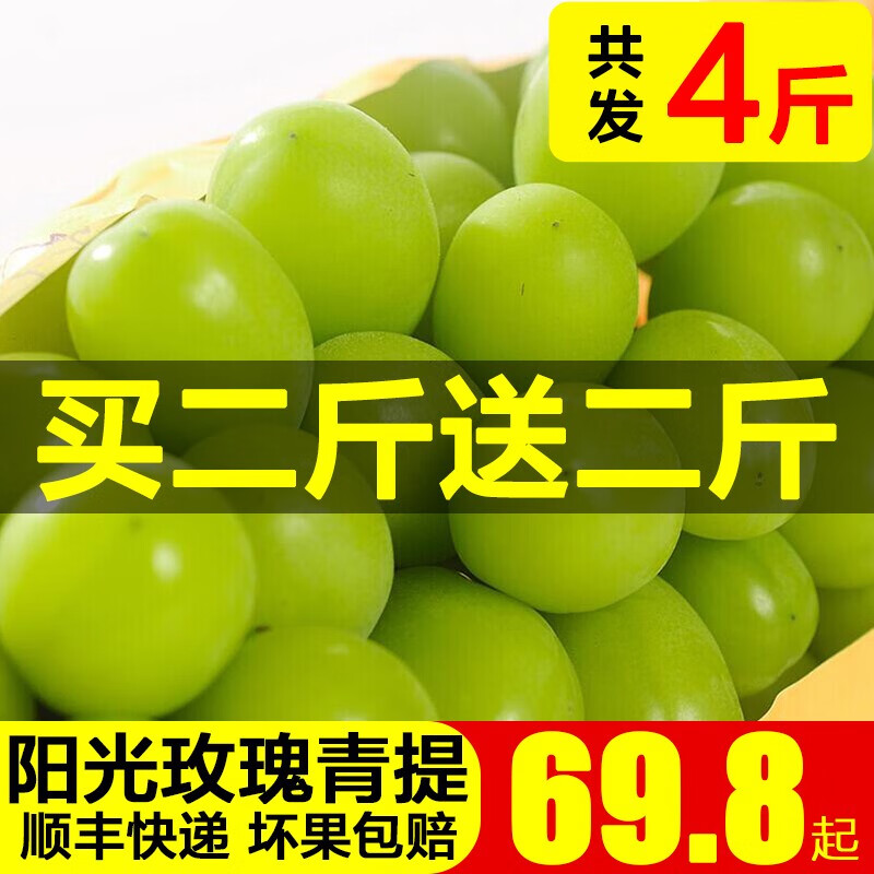 葡萄提子价格行情最新报价走势图|葡萄提子价格历史