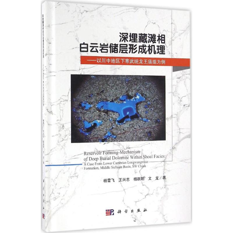 深埋藏滩相白云岩储层形成机理