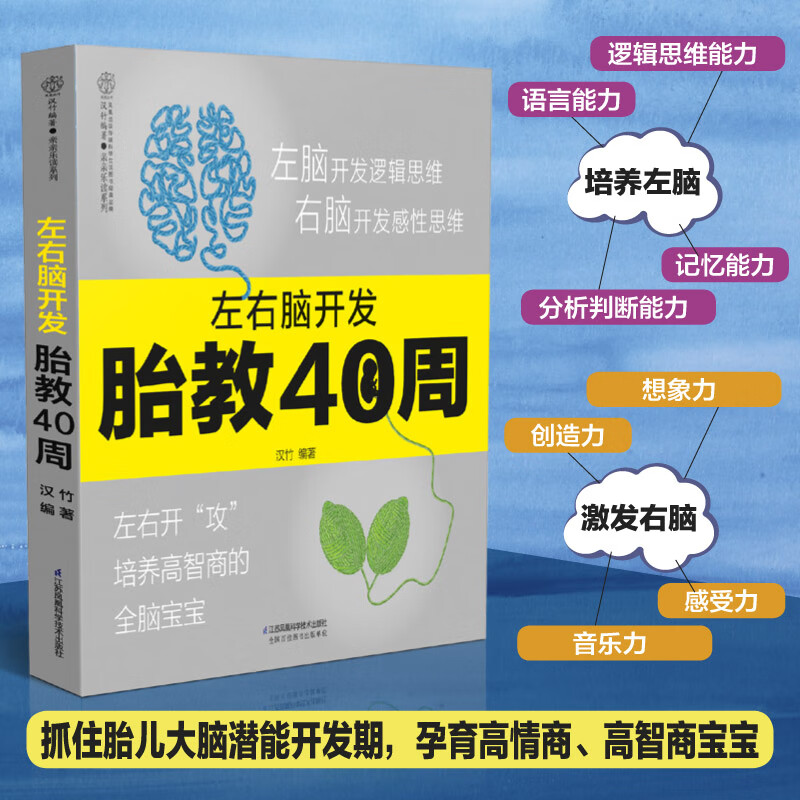 左右脑开发胎教40周 胎教书籍怀孕书籍胎