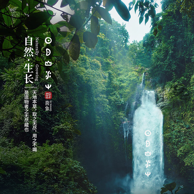 喜象（XI XIANG）艾草洗发水 防断发 蓬松 去屑止痒 控油 氨基酸温和护发洗发水 控油型 245g 山水均衡系列