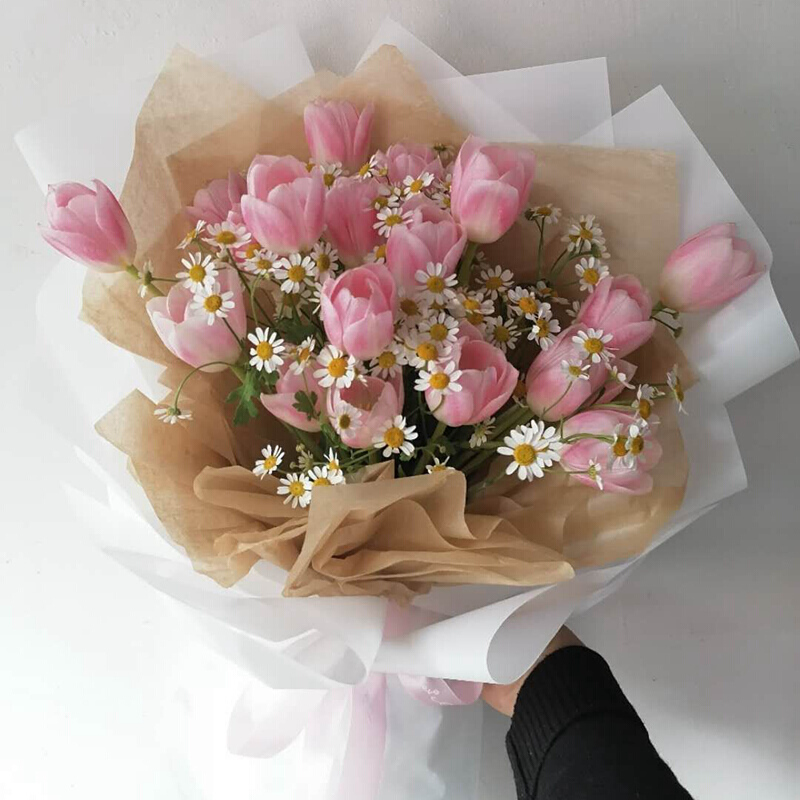 洋花 相关京东优惠商品 23 价格图片品牌优惠券 虎窝购 洋花 相关京东优惠商品 23 价格图片品牌优惠券 虎窝购