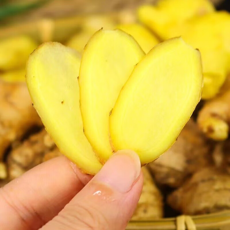 农多鲜云南小黄姜生姜香辣十足新鲜蔬菜现挖现发 小黄姜净重3斤