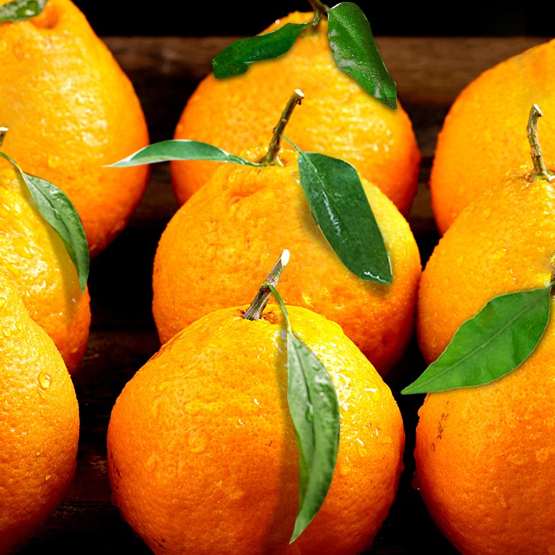 四川橘子耙耙柑丑橘桔子新鲜水果 耙耙柑3斤