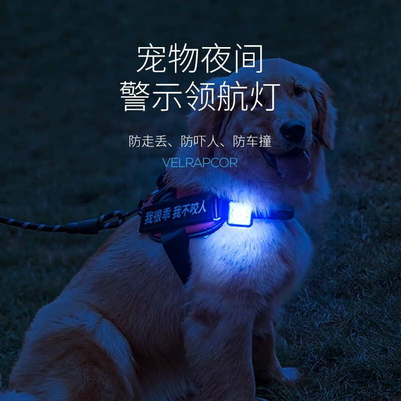 微笑鲨夜光遛狗灯狗狗防走丢失车祸宠物神器充电led闪光夜间安全信号灯 5档光源【续航4-8H 高弹头带 】
