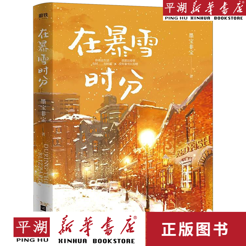 【书籍】在暴雪时分