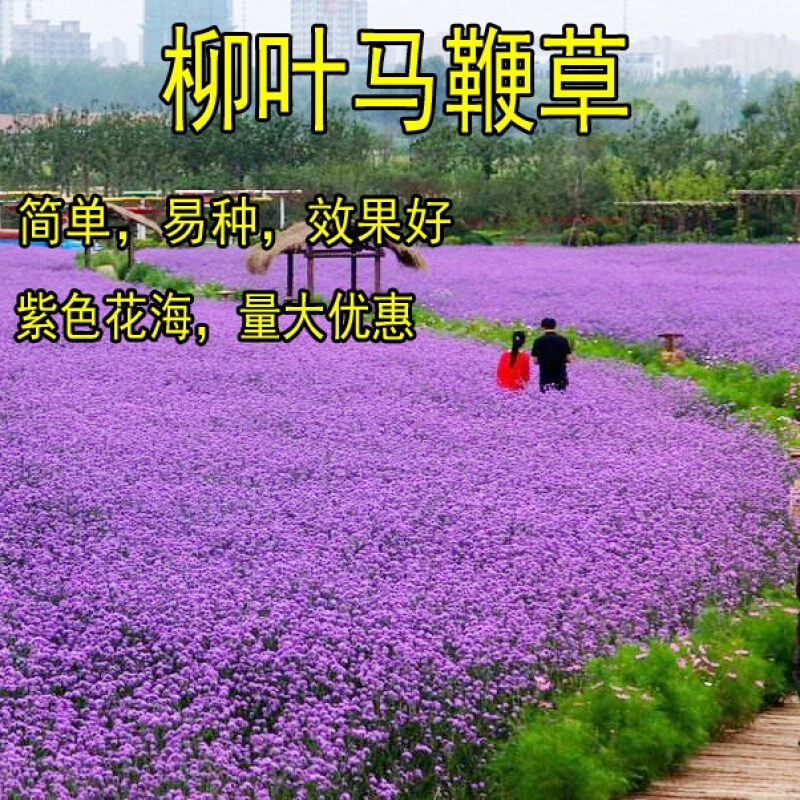 宿根 相关京东优惠商品 3 价格图片品牌优惠券 虎窝购 宿根 相关京东优惠商品 3 价格图片品牌优惠券 虎窝购