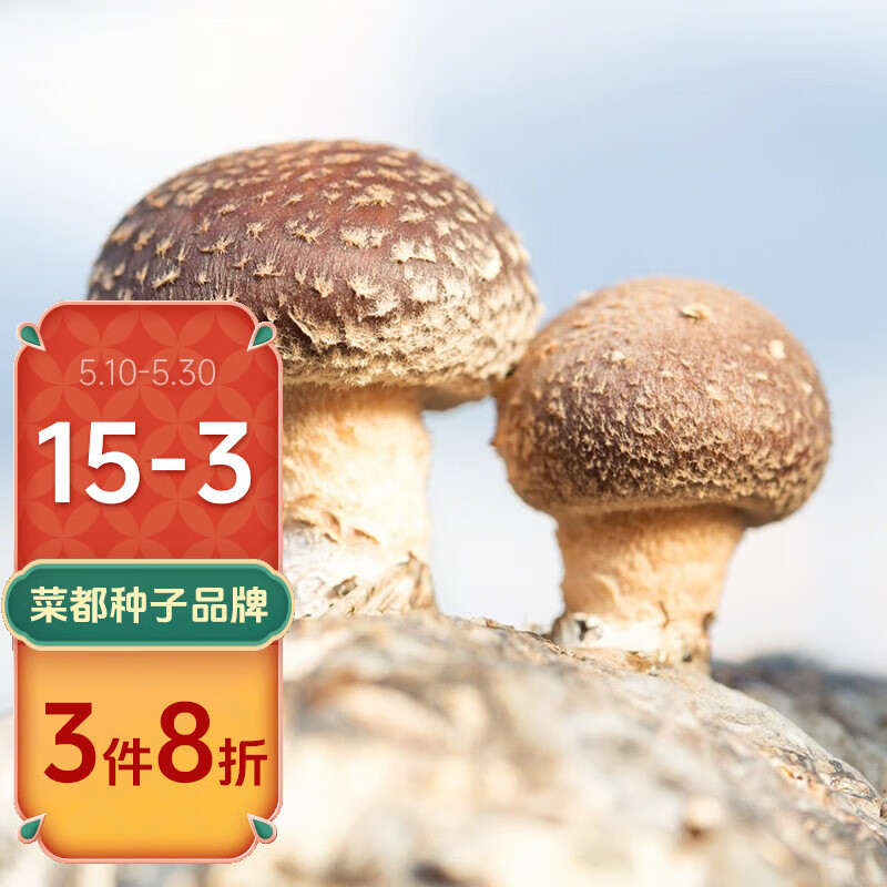 北蔬 香菇菌种菌包 可食用蘑菇 香菇种植包 1个(约1kg)