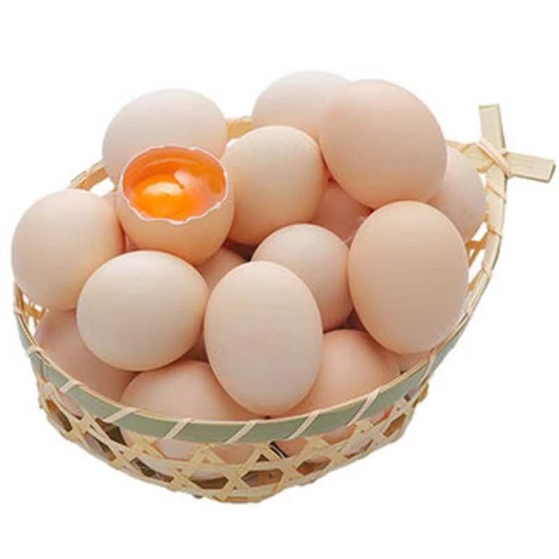 （40枚超低价）纷香土鸡蛋笨鸡蛋草鸡蛋虫草蛋柴鸡蛋 土鸡蛋40枚