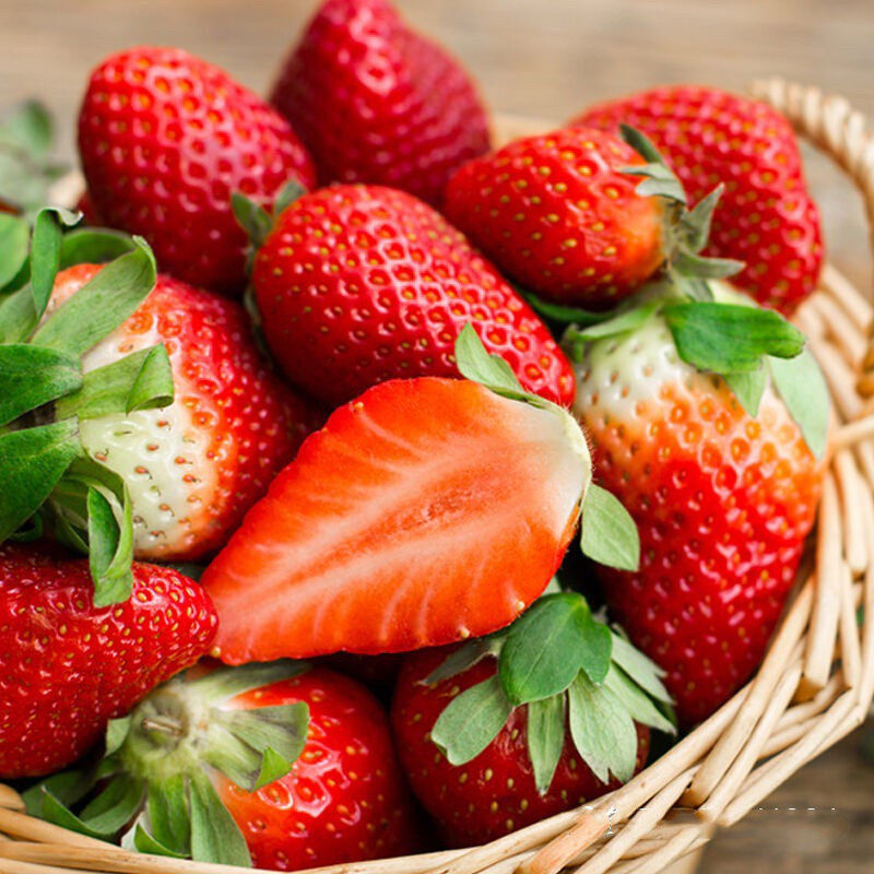 【精选】当季新鲜蛋糕店牛奶烘培奶茶现摘果园红颜奶油孕妇草莓直销 冬天的款草莓与您一起分享