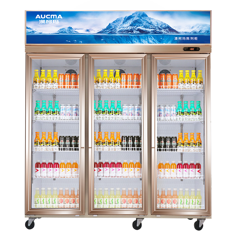 澳柯玛（AUCMA）商用展示柜冰柜饮料陈列柜 三门冰箱立式保鲜柜三开门冷藏柜展示柜冷柜高颜值外观 LSC-1021D