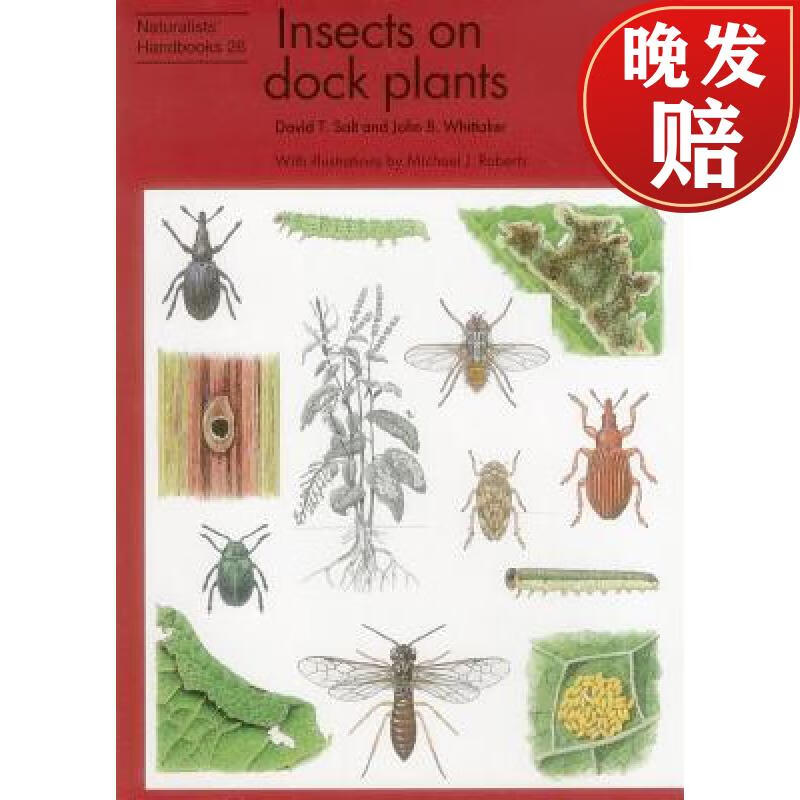 【4周达】insects on dock plants