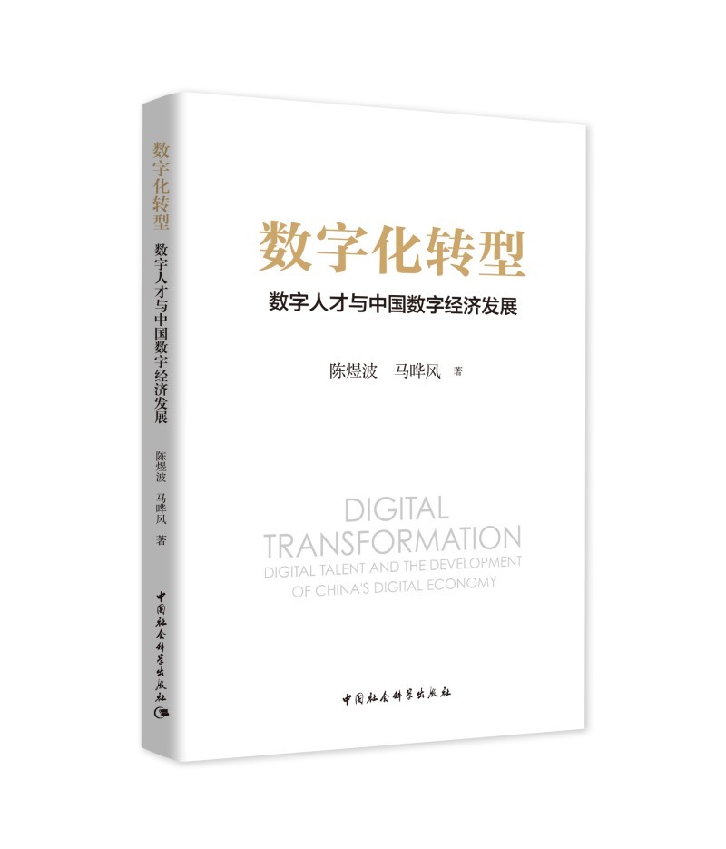 数字化转型：数字人才与中国数字经济发展 数字经济 数字人才 经济学理论 人工智能 信息技术