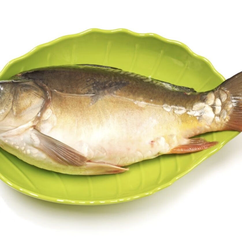 【顺丰】东北三道鳞新鲜活鱼塑封冷冻发货保鲜无鳞少刺淡水鱼 3.3-3.