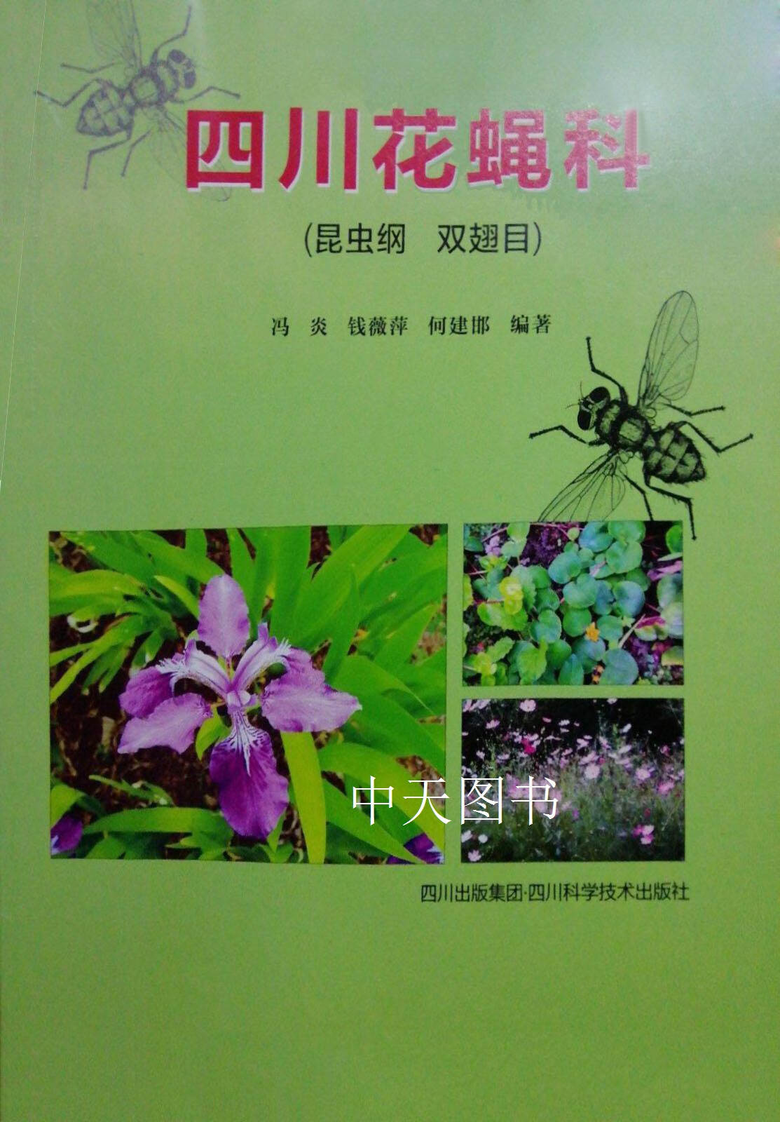 关于花卉蝇的信息 关于花草
蝇的信息（关于捕蝇草的信息） 花卉