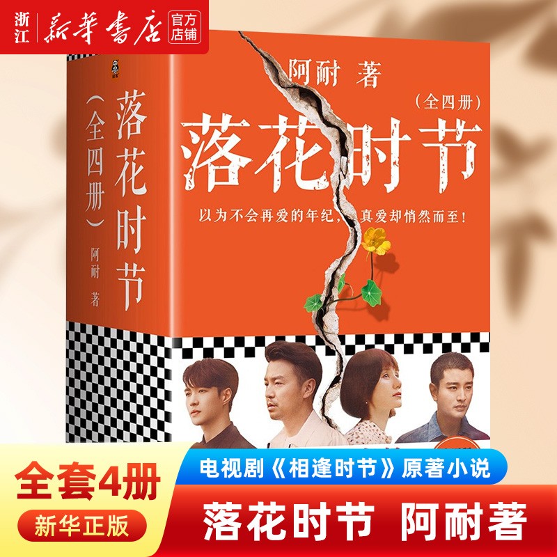 落花时节全套4册阿耐著同名电视剧《相逢时节》原著小说