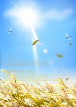 杨南生传【上新】