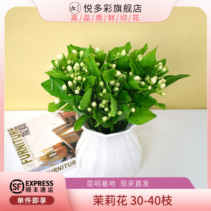 悦多彩 鲜花速递情人节 天堂鸟跳舞兰洋兰茉莉花香雪兰家用水培鲜切花