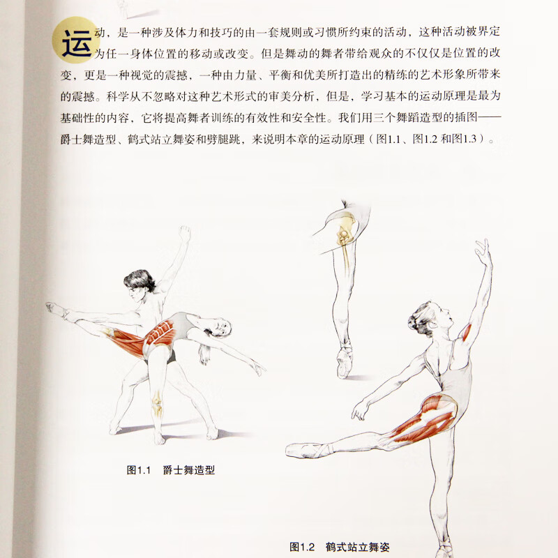 舞蹈解剖学 舞蹈书籍基本功入门训练形体动作图解教程知识手册{*