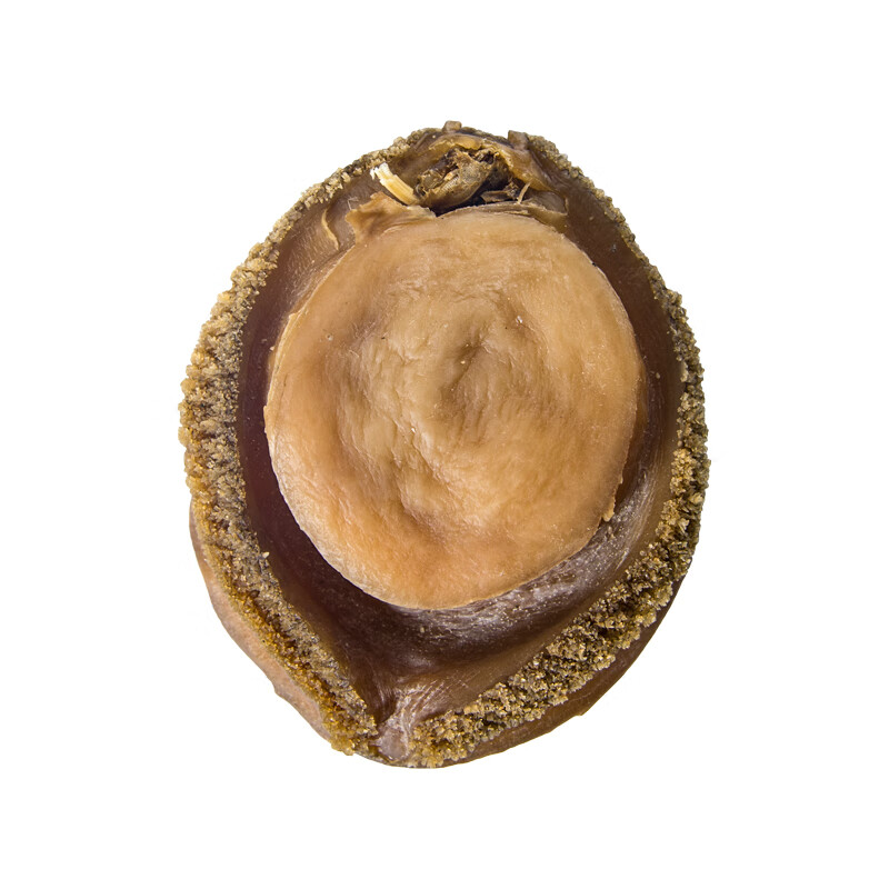 虎钢馋南非双头鲍 2头鲍鱼 特级大干鲍鱼2只一斤 糖心鲍鱼干货500g2只