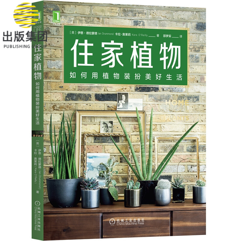 住家植物：如何用植物装扮美好生活