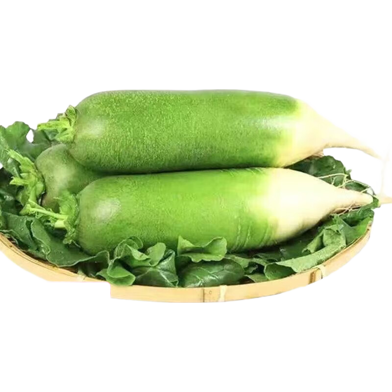 新鲜青萝卜 净重9斤单果300g起