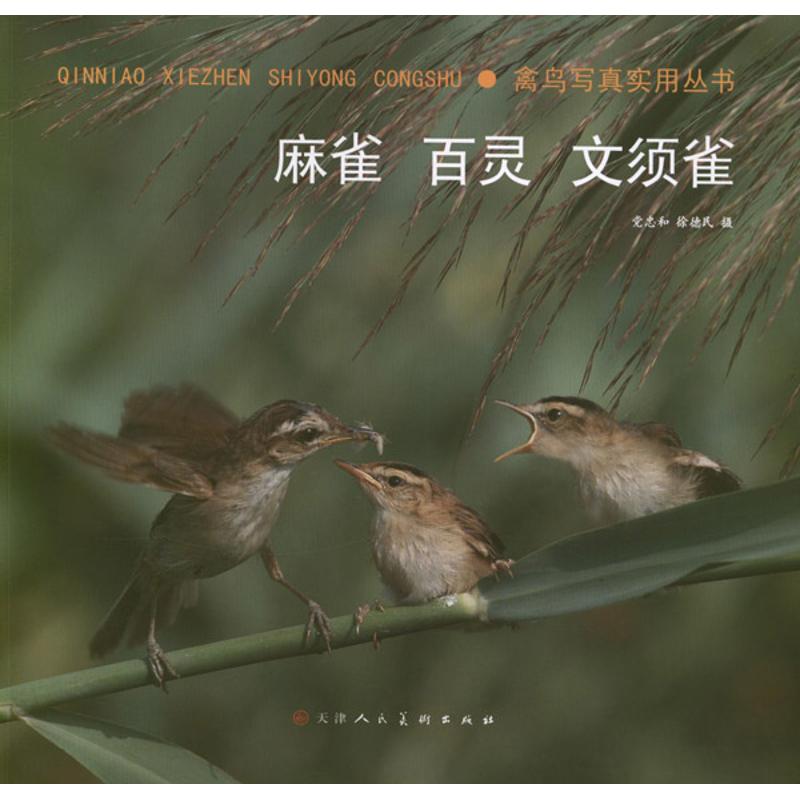 禽鸟写真实用丛书:麻雀.百灵.文须雀