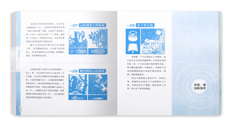 游戏中的科学（全新修订版）暑假阅读暑假课外书课外暑假自主阅读暑期假期读物详情图