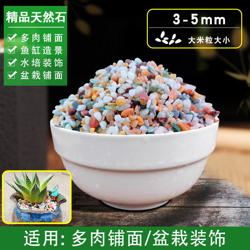 花e流天然五彩石雨花石多肉花盆铺面养花养鱼彩色石子鱼缸造景装饰