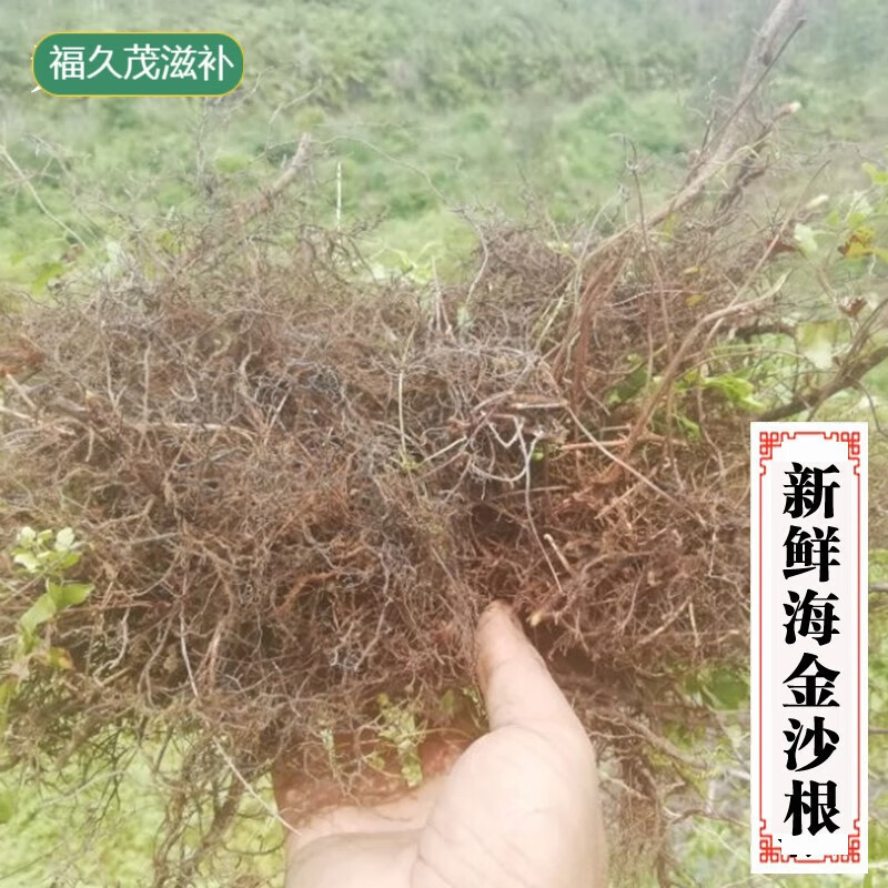 宜安堂农家新晒海金沙根 金沙藤根 排化结石茶 罗网藤根干品 500克 现