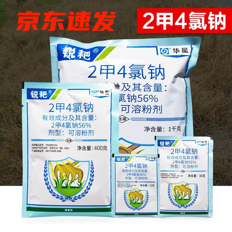 ���Ƕ��������� 2��4���� С������ˮ�����ݼ���ƺ��Ҷ���ݼ���� 30g 30g(10��)18Ԫ