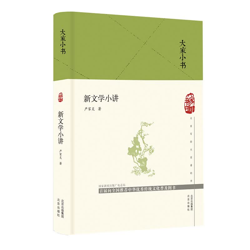 大家小书 新文学小讲（精）