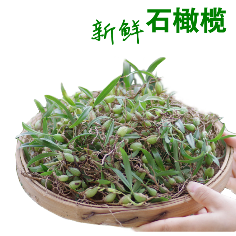 真京 新鲜石橄榄500g 新鲜现摘双叶石仙桃果 石豆兰 珠岩豆