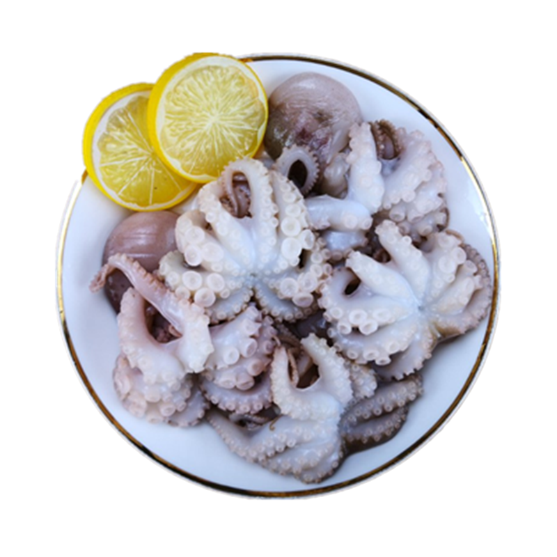 哪里能看到京东软足类准确历史价格|软足类价格走势