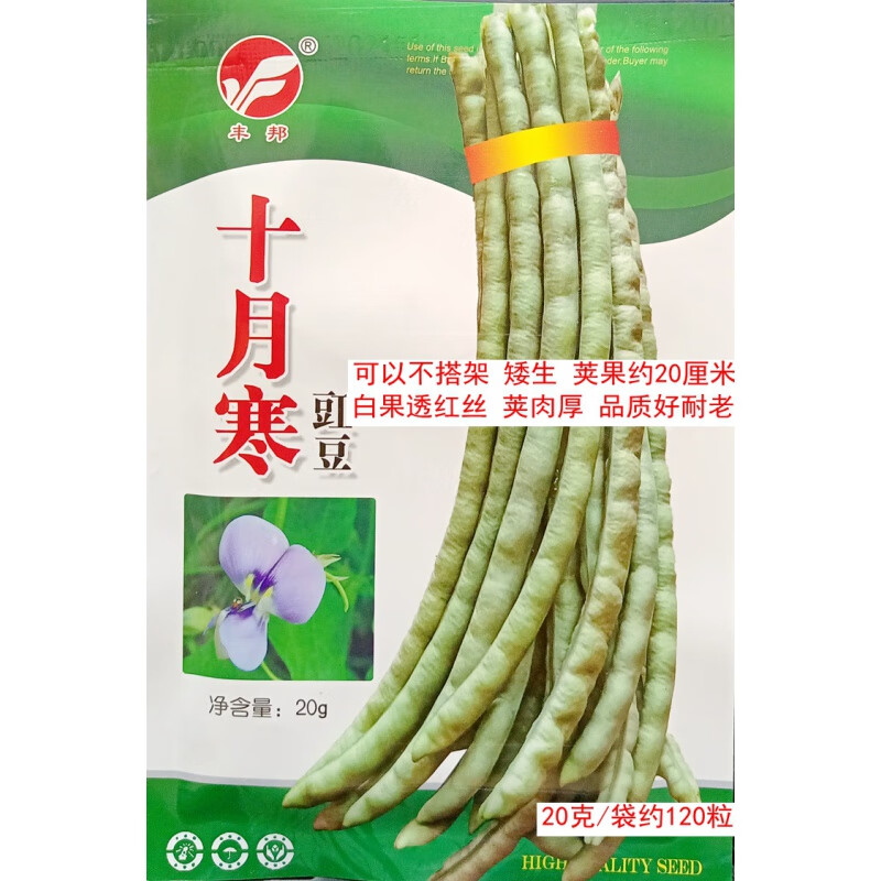 禾之润十月寒冷豇豆种子无蔓不搭架胖短紫秋豇江缸豆角兔子腿八月豆