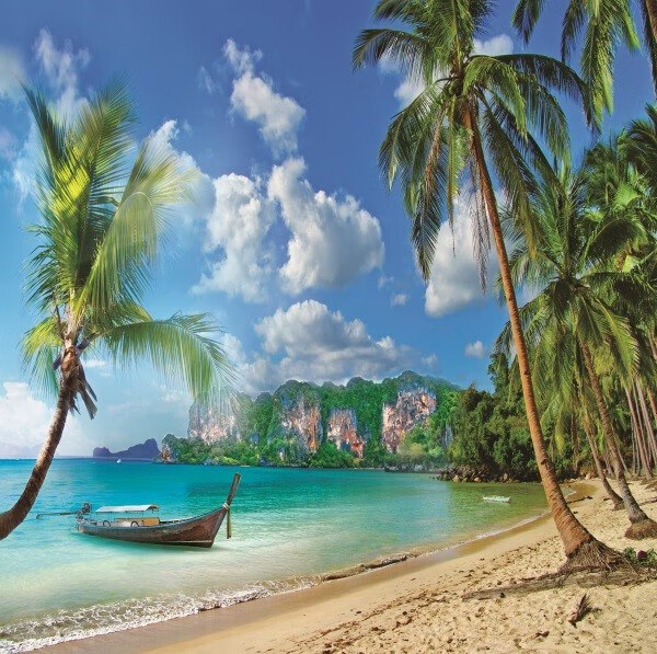 漂傲沙滩海边背景布 大海沙滩蓝天白云海边椰树风景主播拍视频段子直