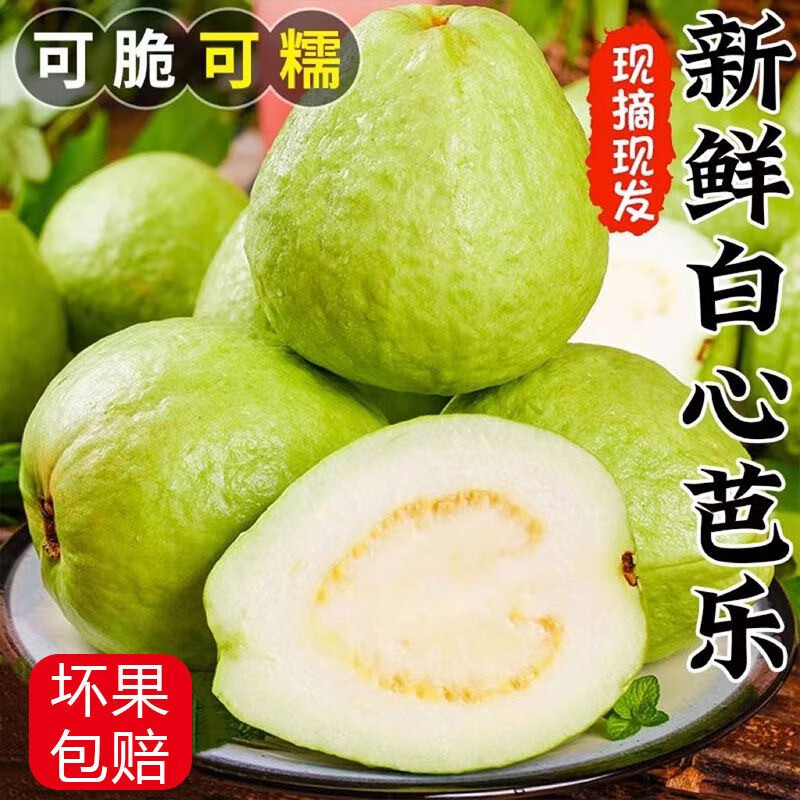 果迎鲜 白心番石榴 5斤装 新鲜水果 海南白心芭乐 生鲜怎么看?