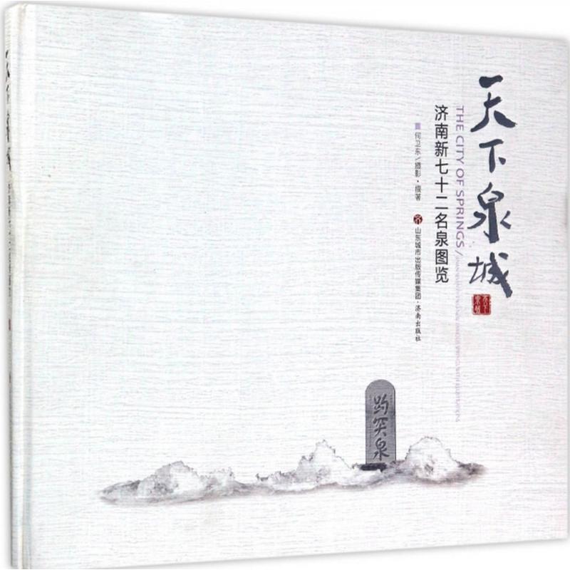 天下泉城 何卫东 摄影、撰 书籍